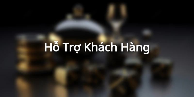 Hỗ trợ khách hàng