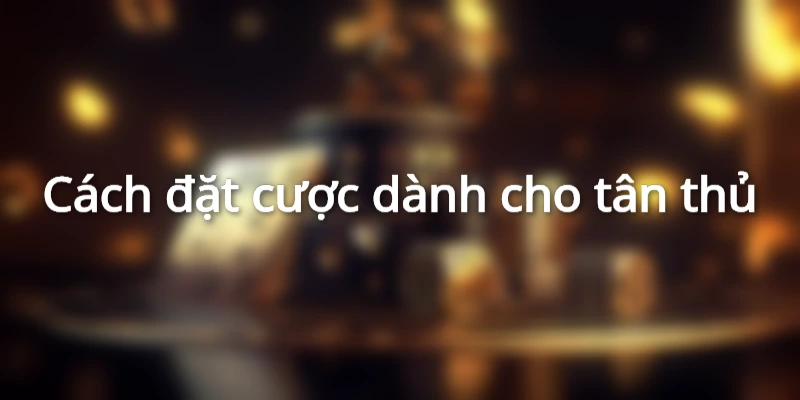 Hướng dẫn 3 bước đặt cược tại đá gà WW88